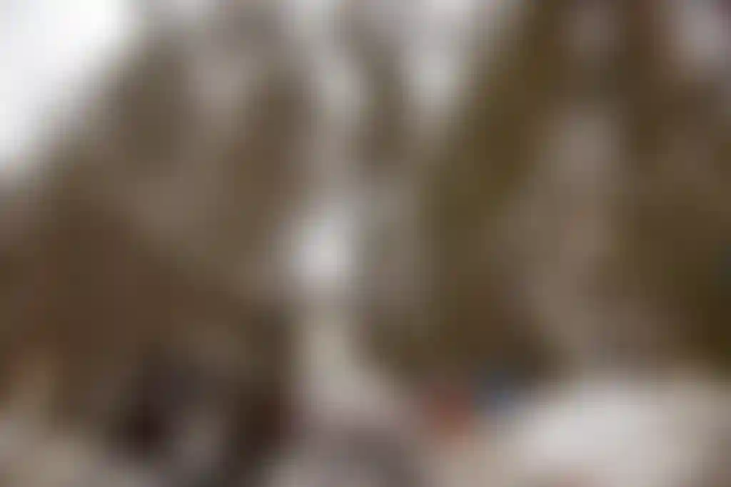 Изображение 13