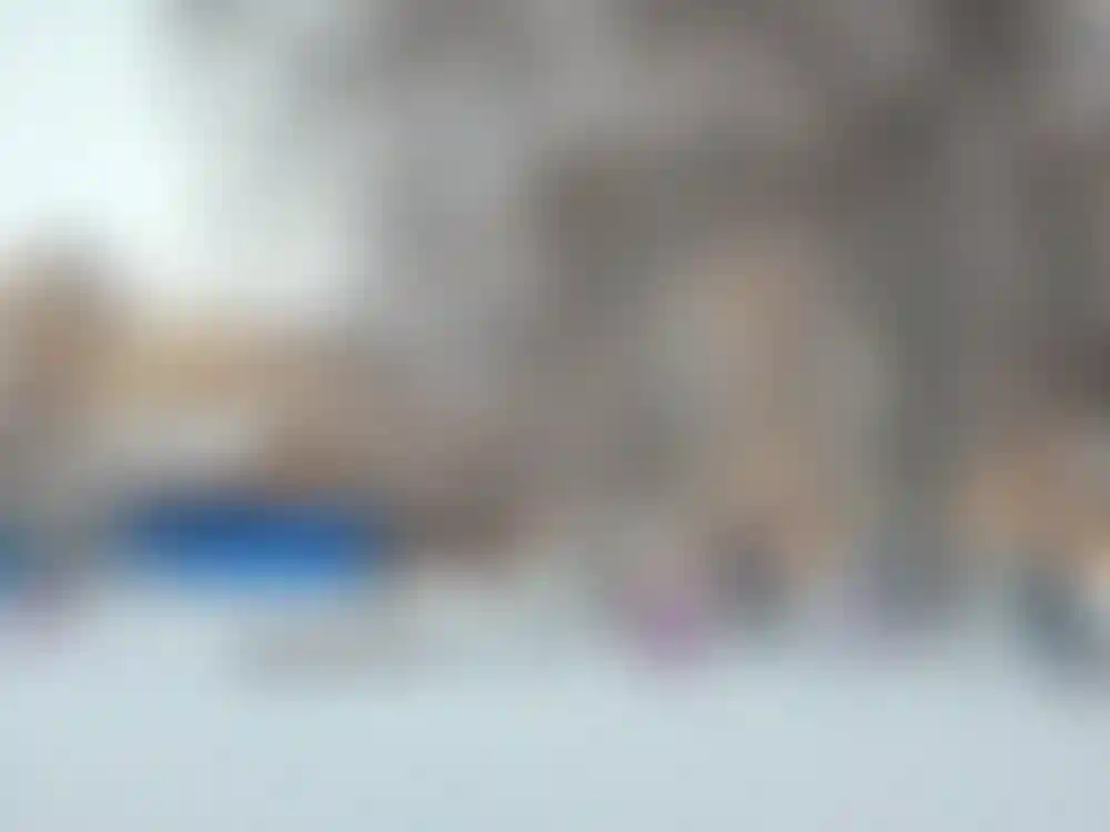 Изображение 13