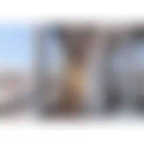 Изображение 11