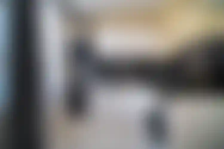 Изображение 0