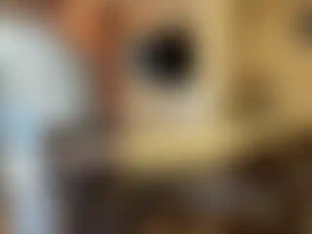 Изображение 12