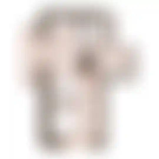 Изображение 0