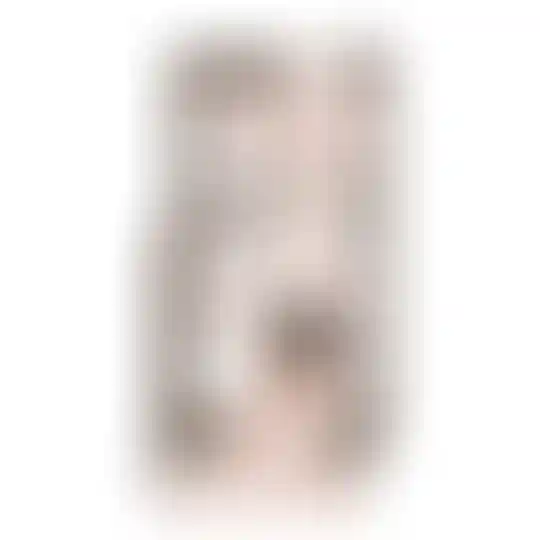 Изображение 0