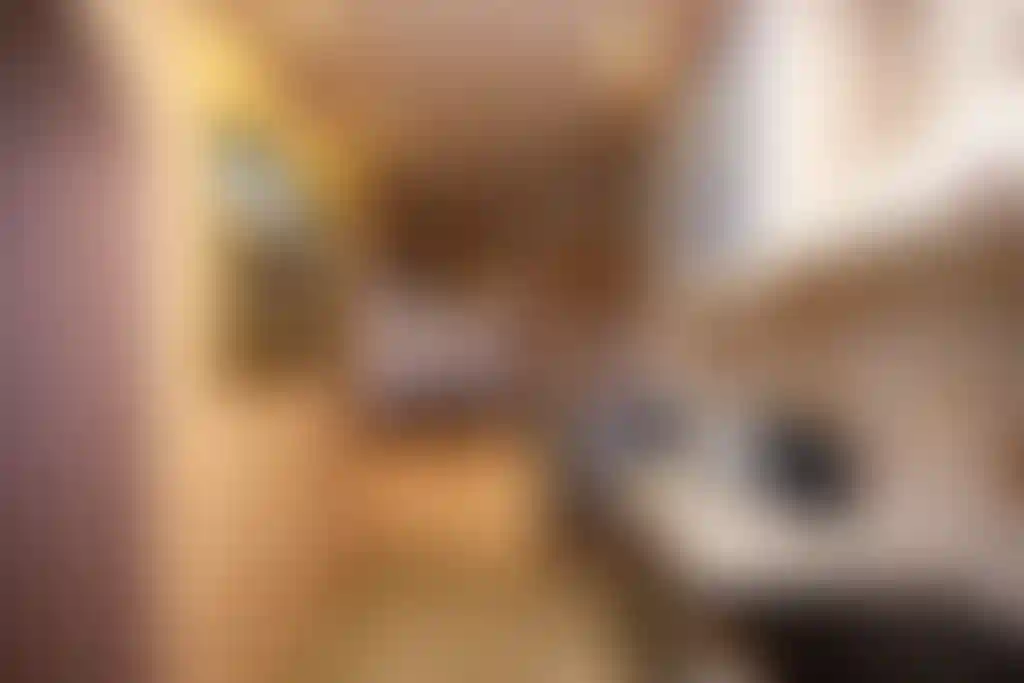 Изображение 15