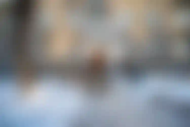 Изображение 13