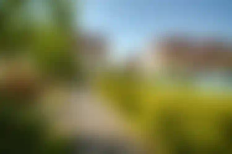 Изображение 29