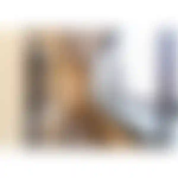 Изображение 9