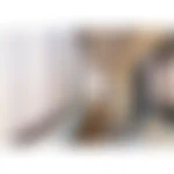 Изображение 12