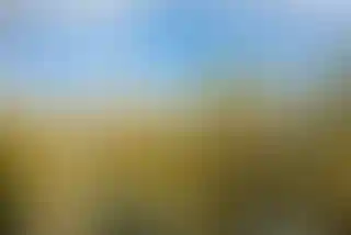 Изображение 15