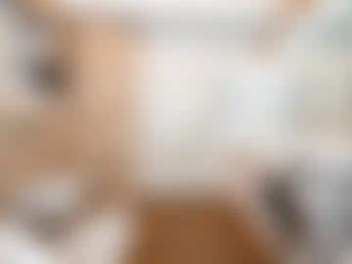 Изображение 25