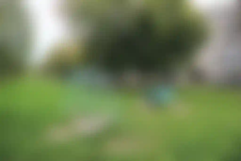 Изображение 32