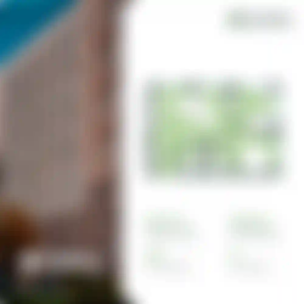 Изображение 0