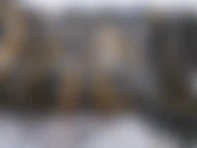 Изображение 17