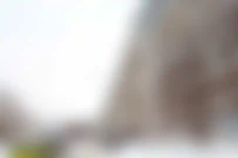 Изображение 11