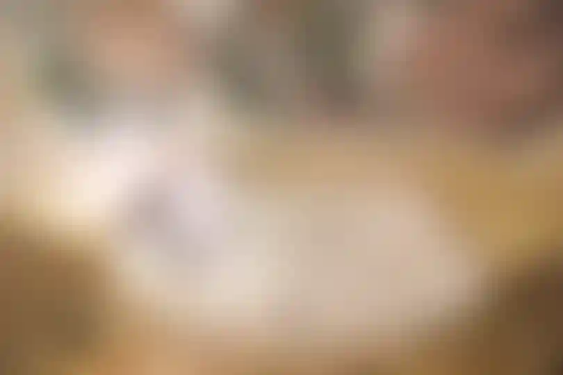 Изображение 29