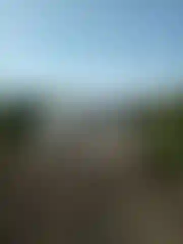 Изображение 15