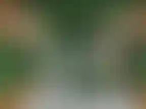 Изображение 0