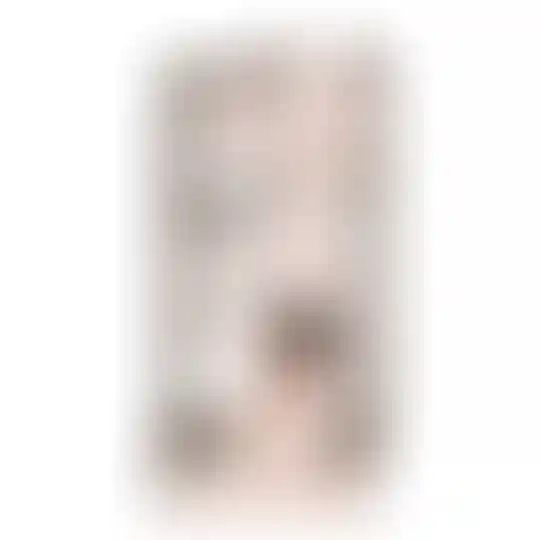 Изображение 0