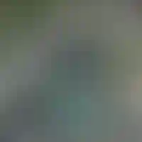Изображение 0