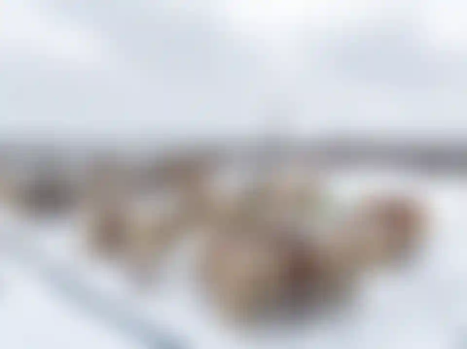 Изображение 23