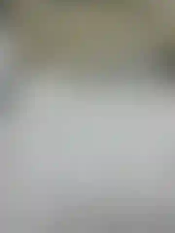 Изображение 0