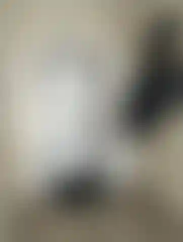 Изображение 0