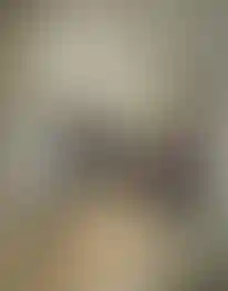 Изображение 0