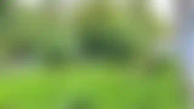 Изображение 25