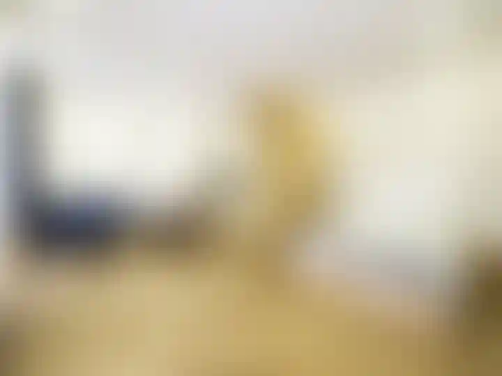 Изображение 0