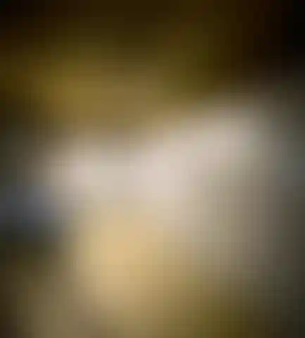 Изображение 0