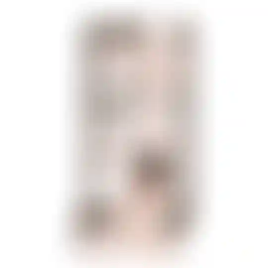 Изображение 0