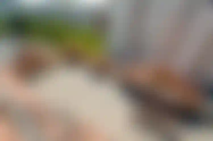 Изображение 23