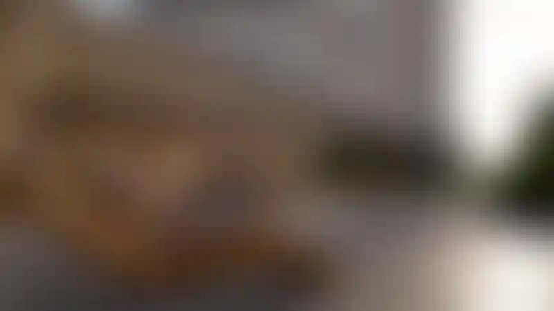 Изображение 12