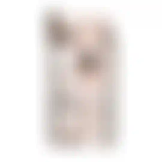 Изображение 0