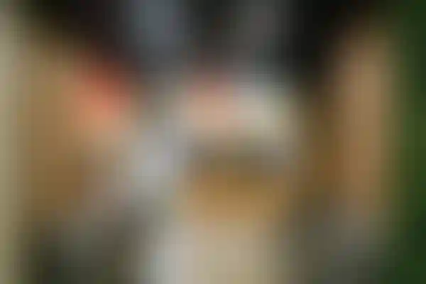 Изображение 19