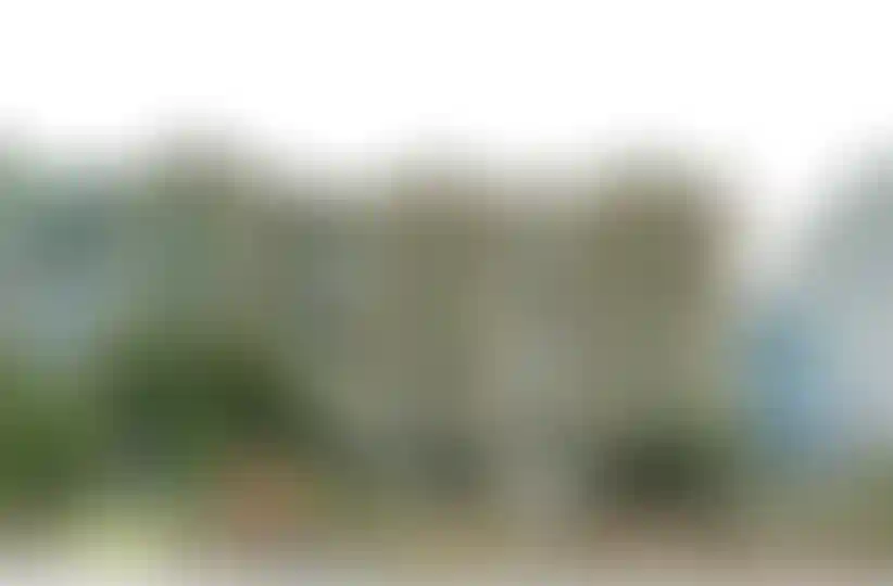 Изображение 11