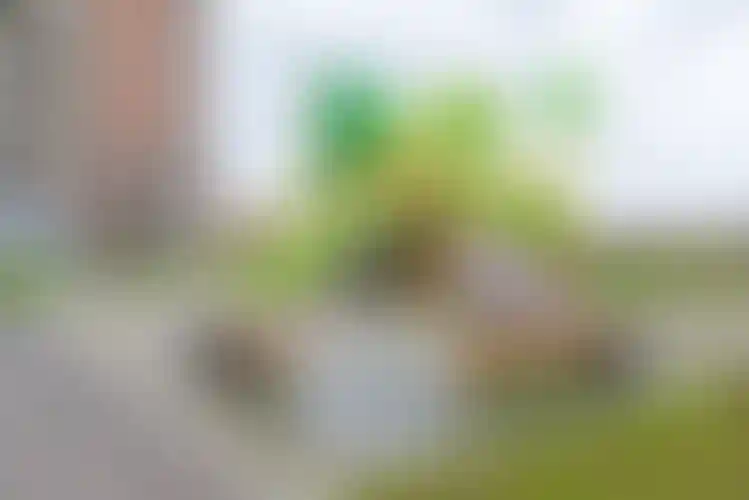 Изображение 11