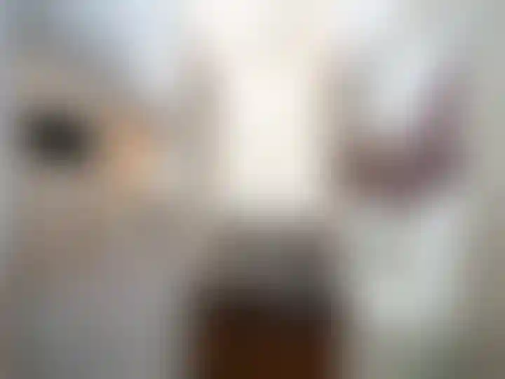 Изображение 29