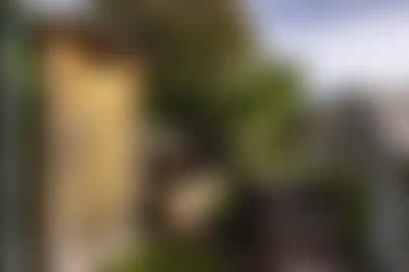 Изображение 29