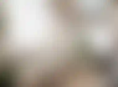 Изображение 0