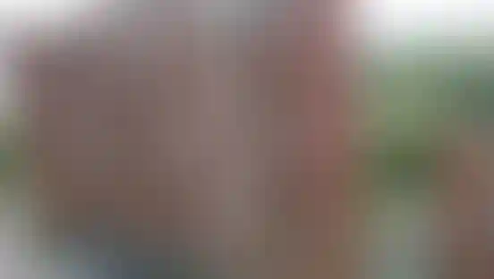 Изображение 0