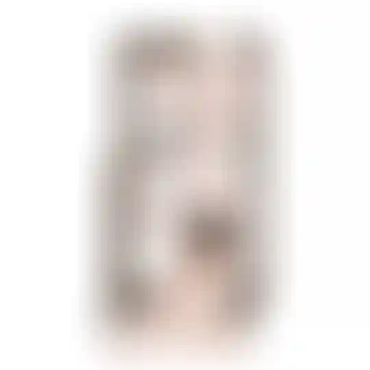 Изображение 0