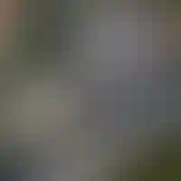 Изображение 0