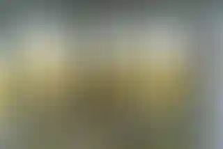 Изображение 14