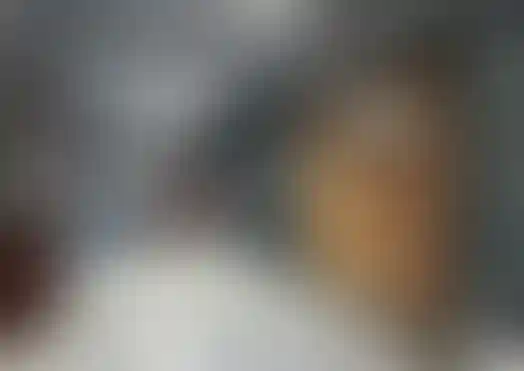 Изображение 0