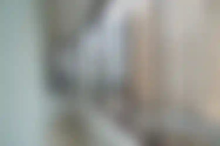 Изображение 22