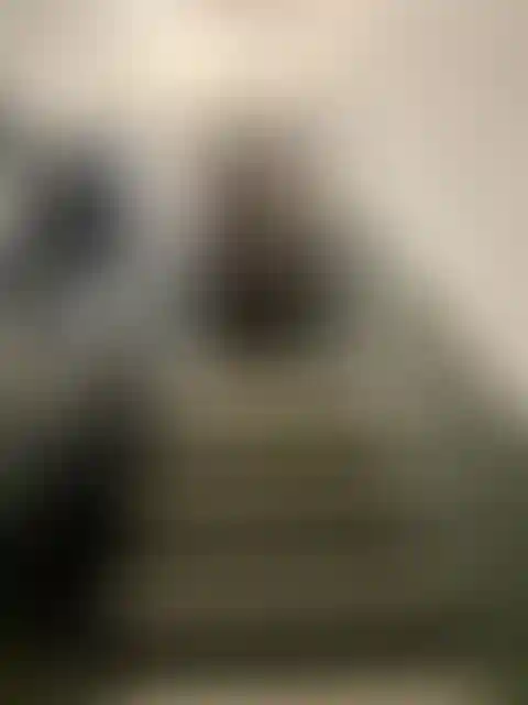 Изображение 10