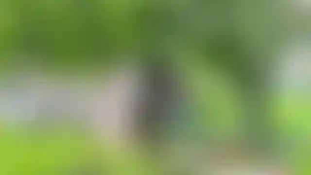 Изображение 31