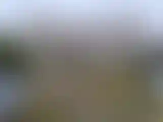 Изображение 13
