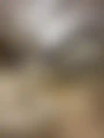 Изображение 0